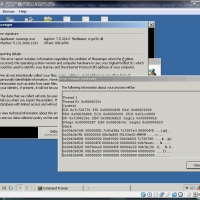 msn_messenger_crash3