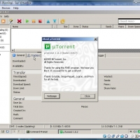 utorrent