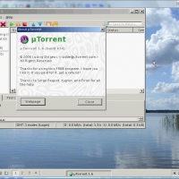 utorrent_ros