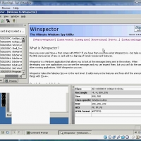 winspector